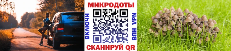кракен ONION  Дальнереченск  Галлюциногенные грибы Cubensis  магазин продажи  